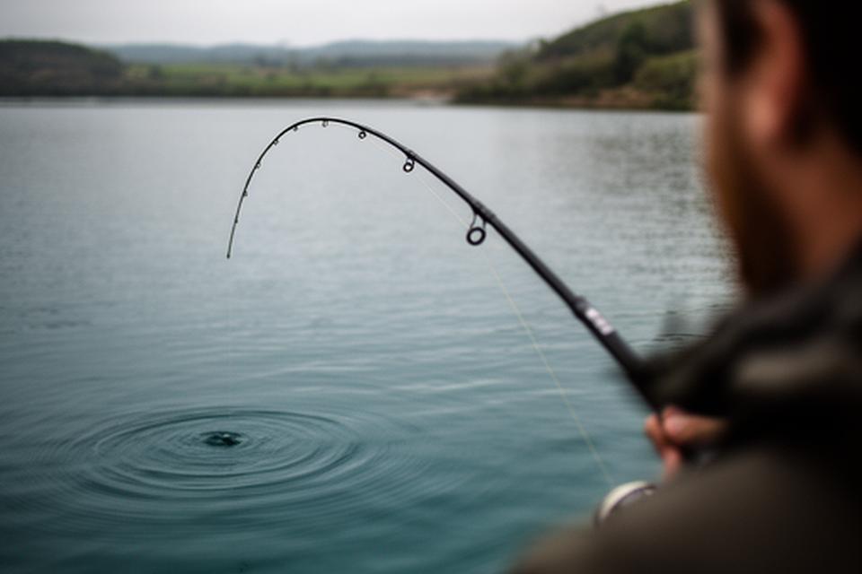 Close view of a fishing rod tip bending over calm water as an angler watches the line carefully